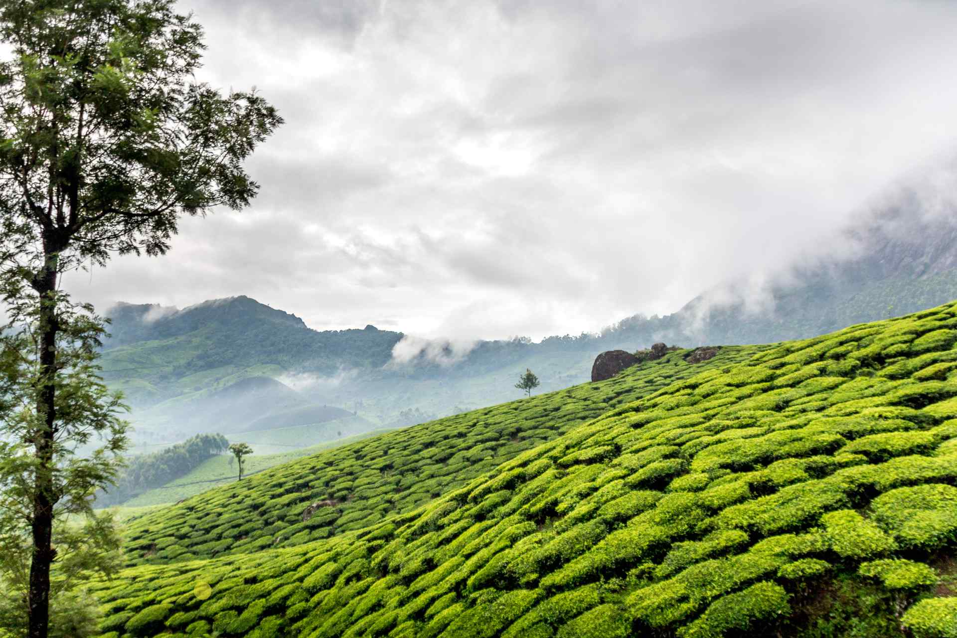 Group Travel in Munnar: Why Dormitories are the Perfect Choice